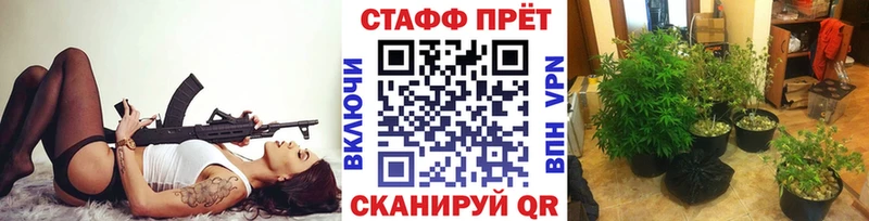 Какие есть наркотики Ногинск ГАШИШ  Псилоцибиновые грибы  МЕФ  СОЛЬ  Экстази  АМФЕТАМИН 
