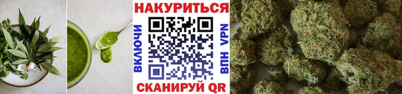 Печенье с ТГК конопля  ссылка на мегу как войти  Ногинск  купить наркоту 