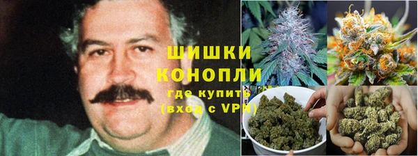 ECSTASY Балахна