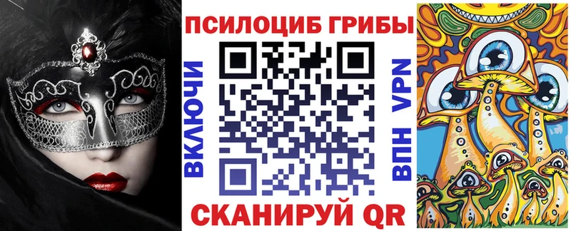 как найти закладки Ногинск Псилоцибиновые грибы прущие грибы