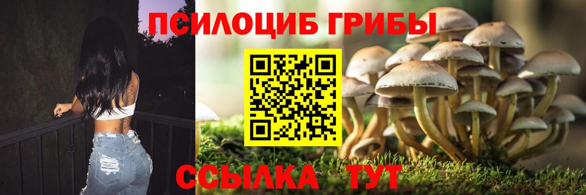 Галлюциногенные грибы мухоморы  Вход с VPN  Ногинск 